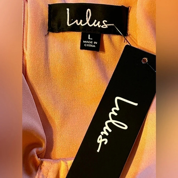 NWT Lulus In Your Dreams Coral Pink Satin Bustier Bodycon Dress - Picture 9 of 13